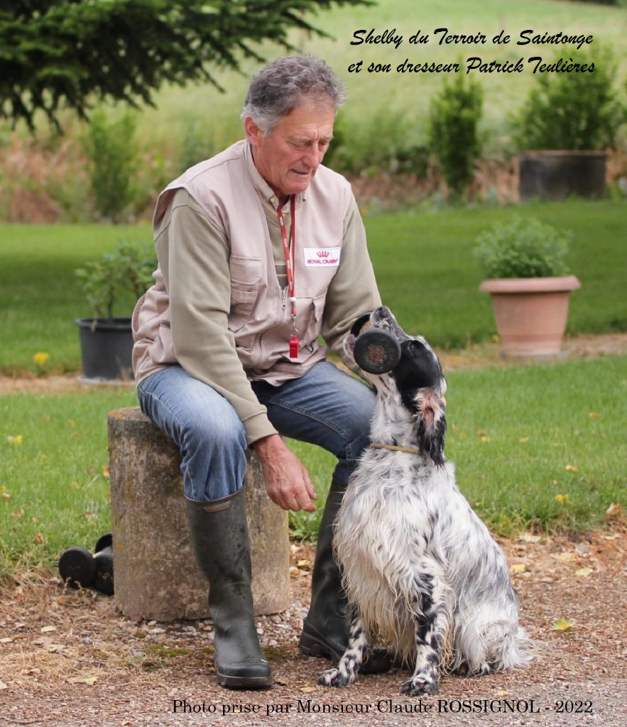 Shelby Du Terroir De Saintonge