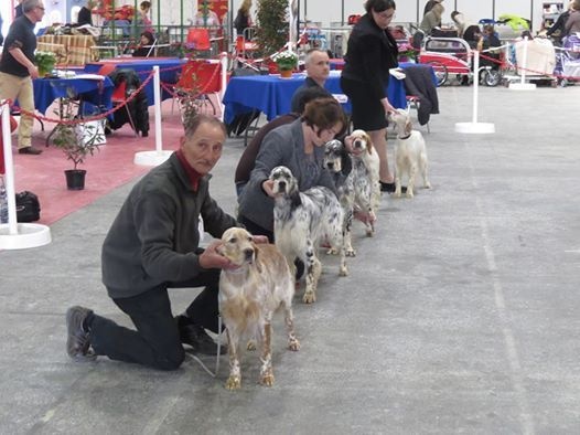 Exposition internationale Périgueux 2016