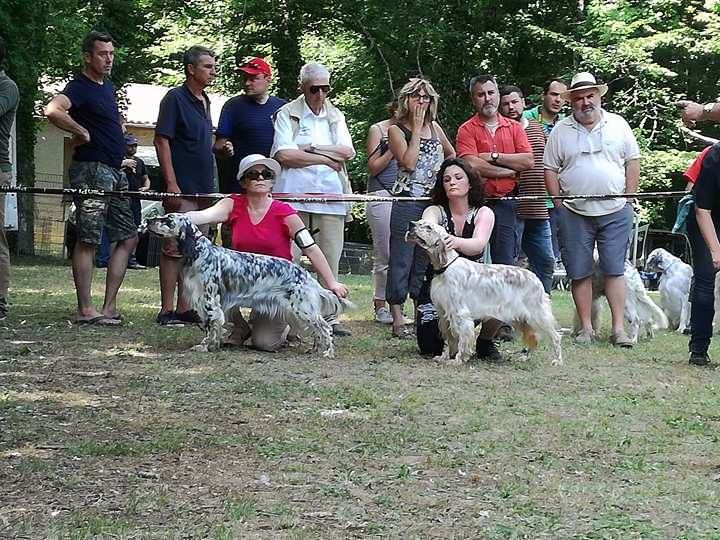 Nationale d'élevage 2017