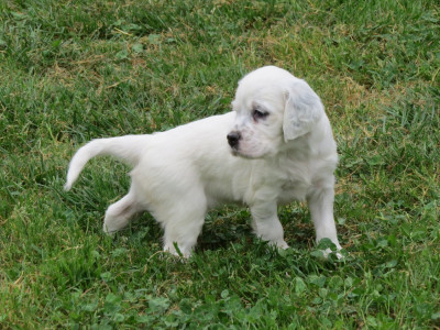 BITSY
